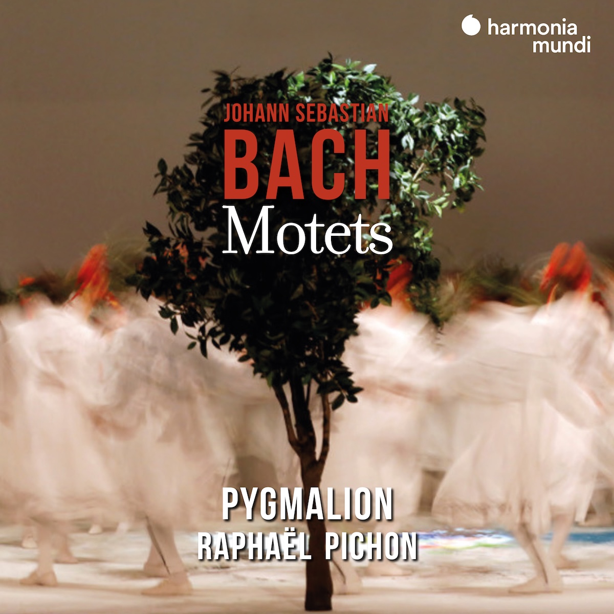Bach · Motets