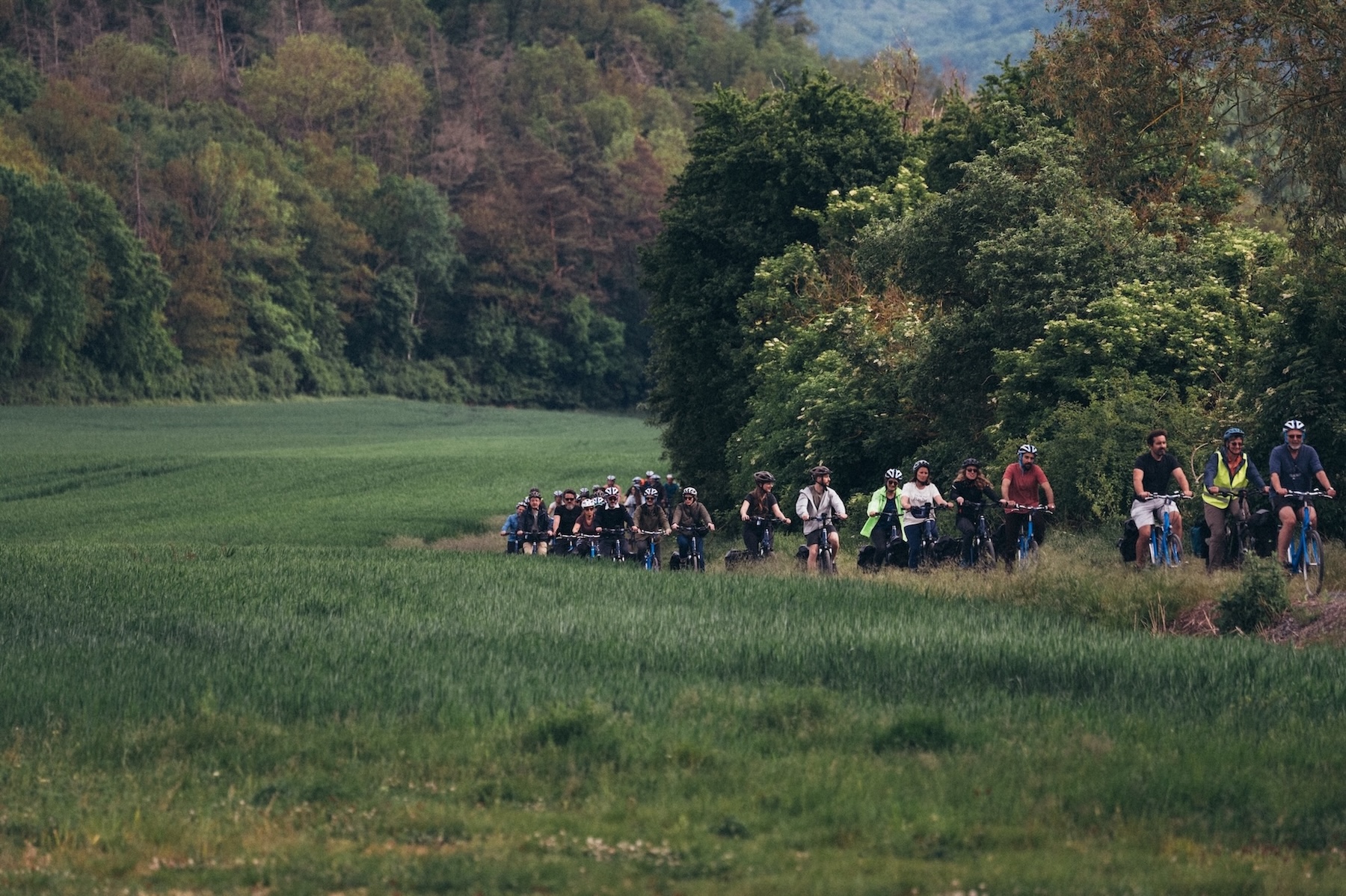 Les Chemins de Bach en Thuringe